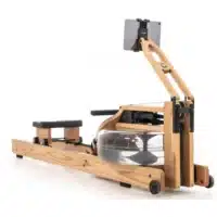 WaterRower Performance Ergometer