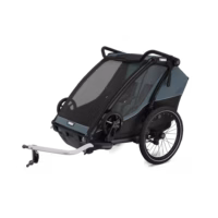 Chariot CAB 2, 2-Sitz Multisport-Fahrradanhänger