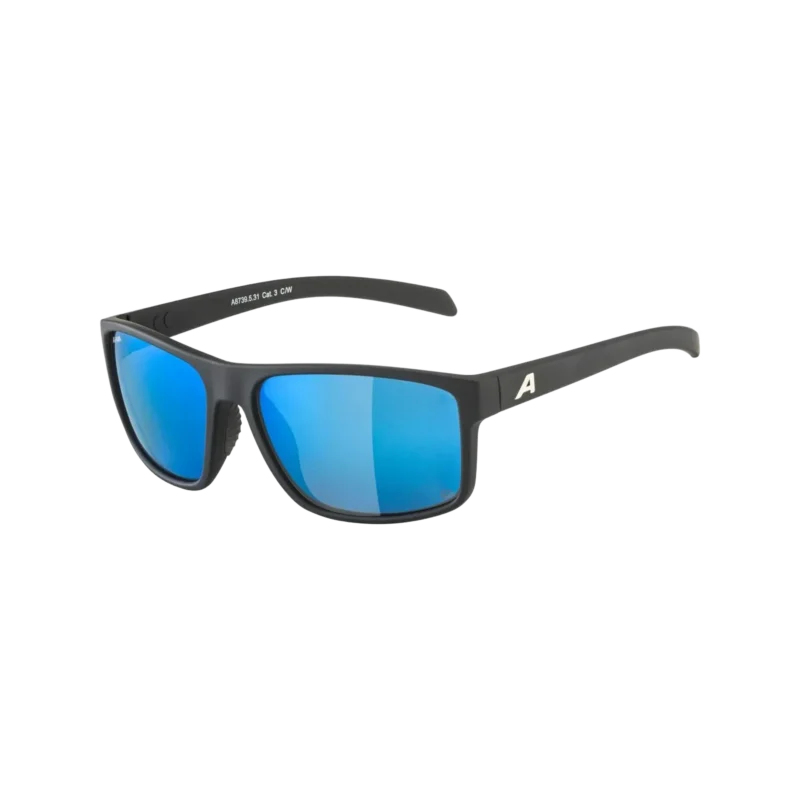 alpina-nacan-i-sonnenbrille-black-matt-1 Nacan I Sonnenbrille