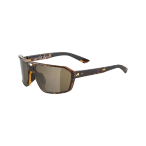 Swift Sonnenbrille