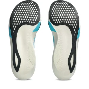 Metaspeed Sky Tokyo Laufschuh