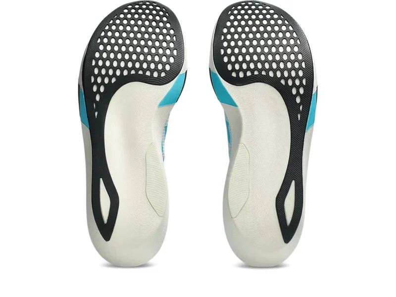 Metaspeed Sky Tokyo Laufschuh