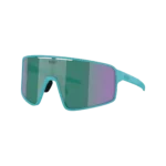 P001 Sonnenbrille