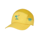 GoCApSC-Comp-WWMCity