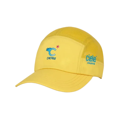 GoCApSC-Comp-WWMCity