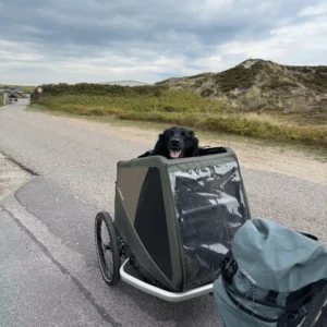 DOG TAMMO (XXL) Hunde-Fahrradanhänger