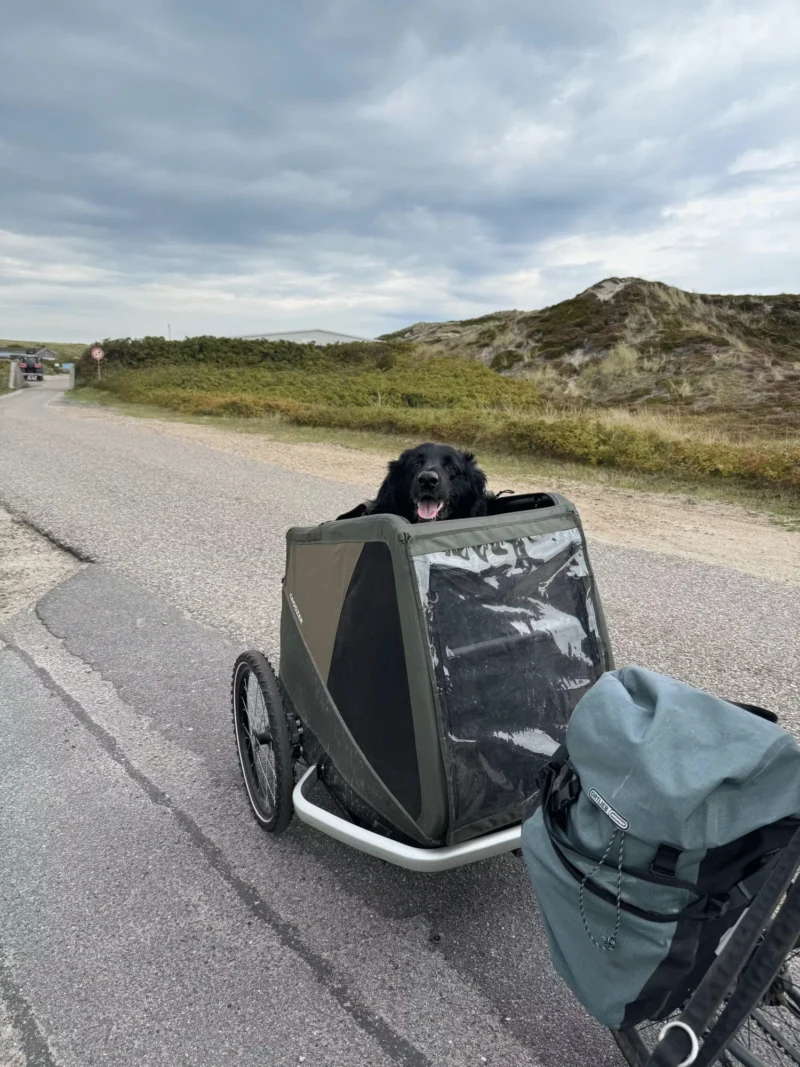 DOG TAMMO (XXL) Hunde-Fahrradanhänger