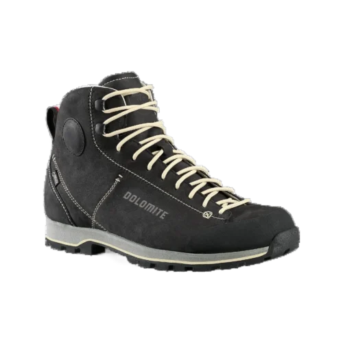 Shoe 54 High Fg GTX Men