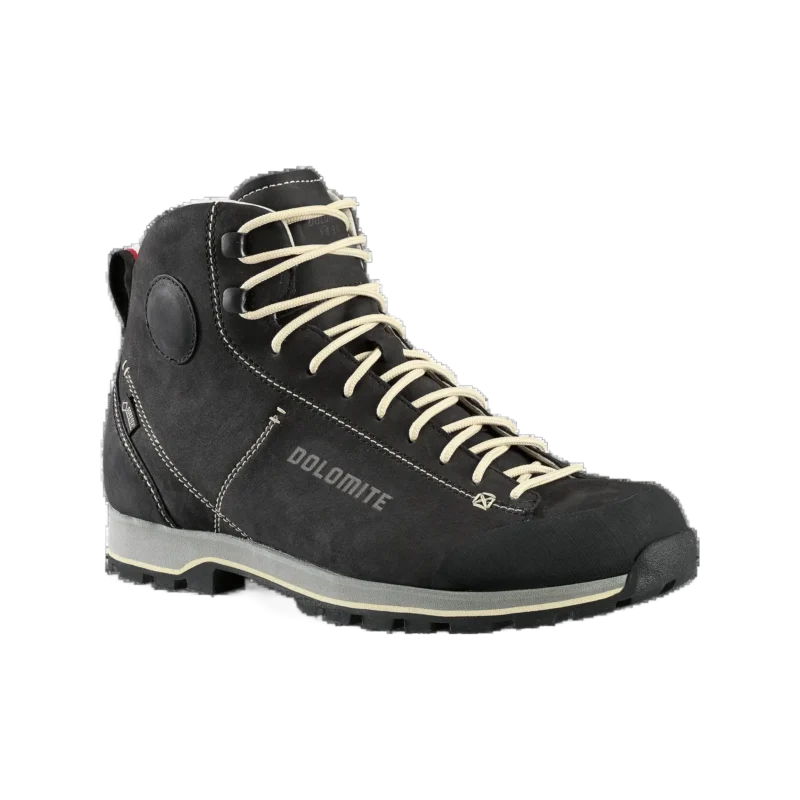 Shoe 54 High Fg GTX Men