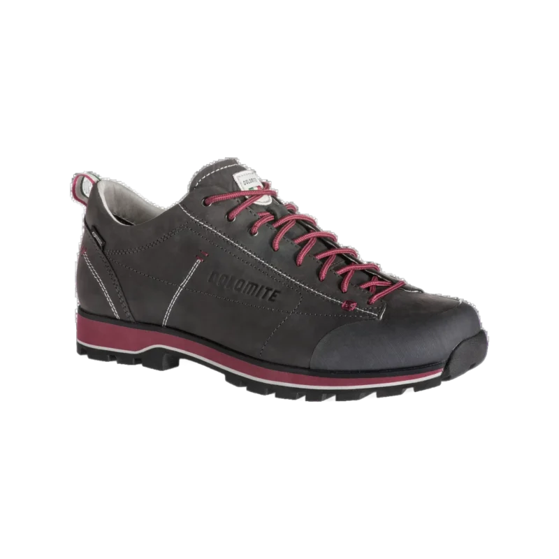 Shoe 54 Low Fg GTX Men