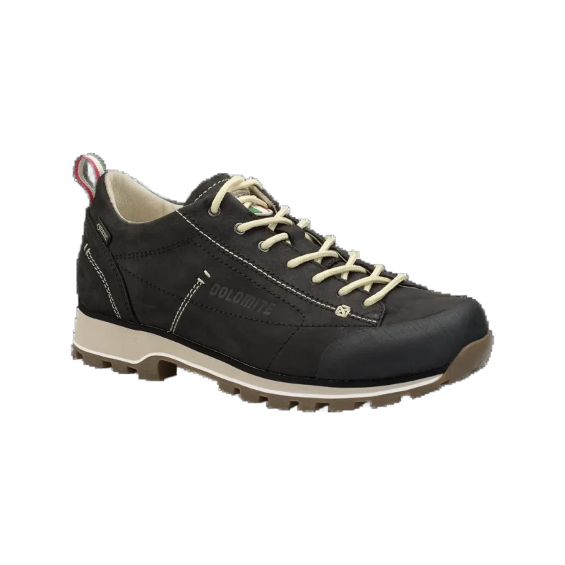 Shoe 54 Low Fg GTX Women