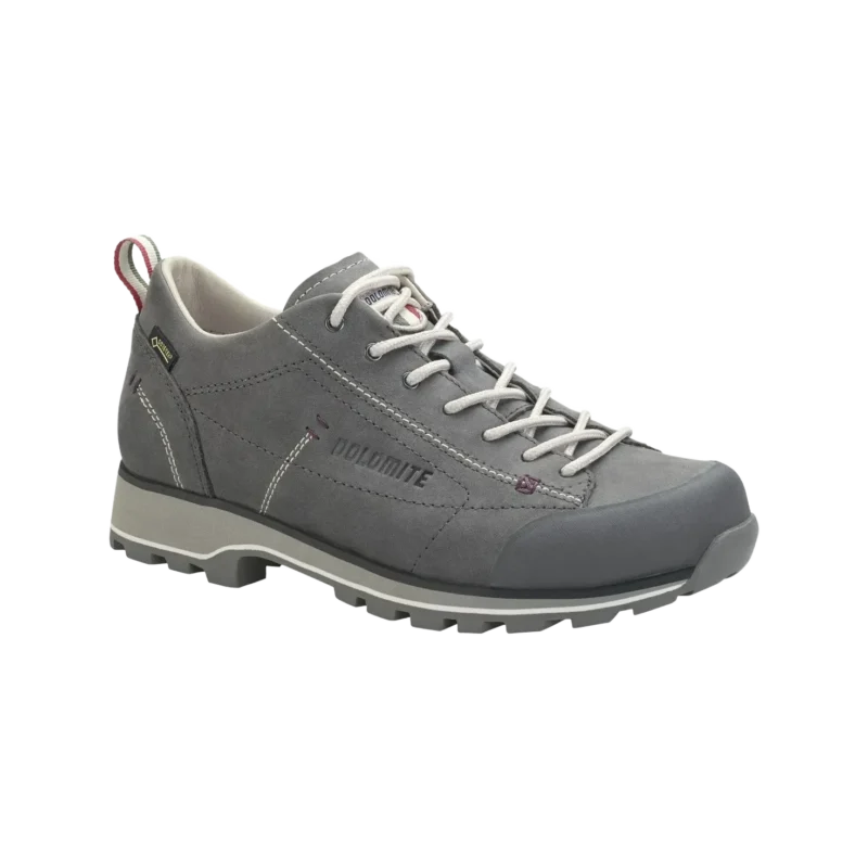 Shoe 54 Low Fg GTX Women