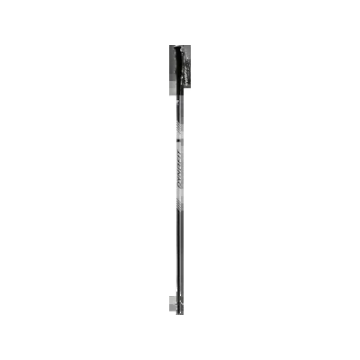 Alpine Pro Pole