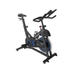 Horizon 5.0IC Indoor Cycle