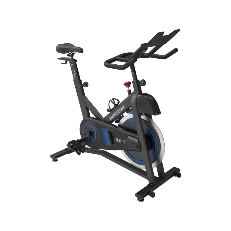 Horizon 5.0IC Indoor Cycle