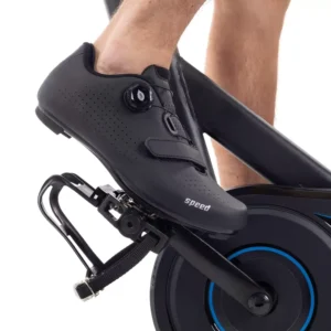 Horizon 5.0IC Indoor Cycle