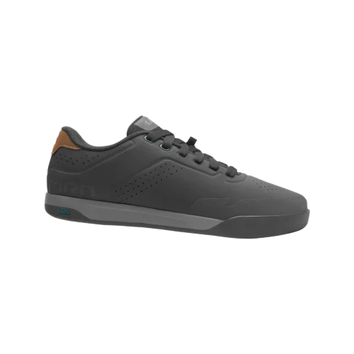 Latch Shoe