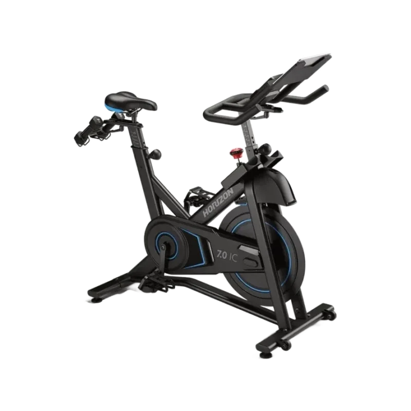 Horizon 7.0IC Indoor Cycle