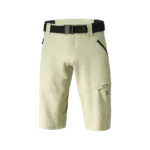Carve 1.0 Shorts