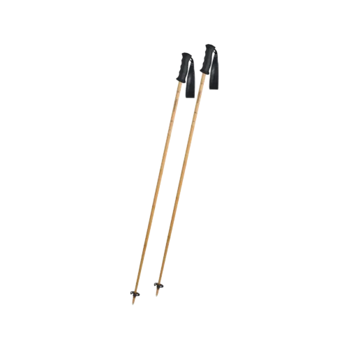 Carbon Bamboo Skistock