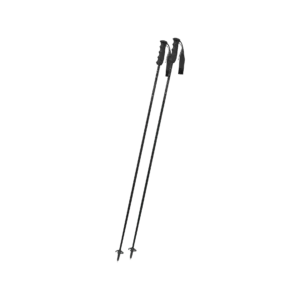 Ebony Carbon Skistock