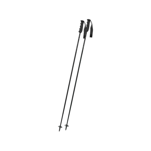 Ebony Carbon Skistock