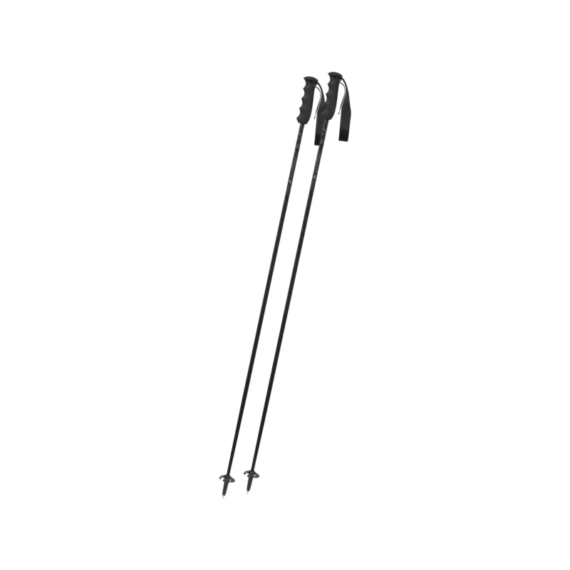 Ebony Carbon Skistock