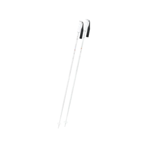 Victory Ti Skistock