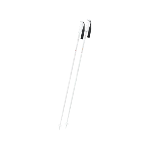 Victory Ti Skistock