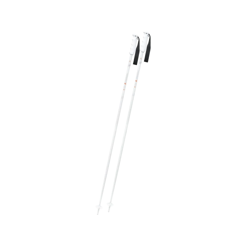 Victory Ti Skistock