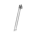 Victory Ti Skistock
