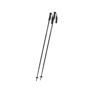 Victory Ti Skistock
