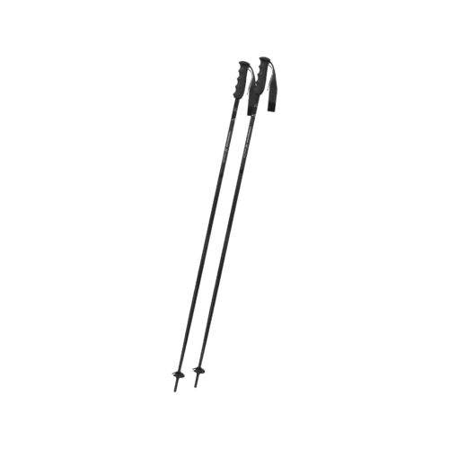 Victory Ti Skistock