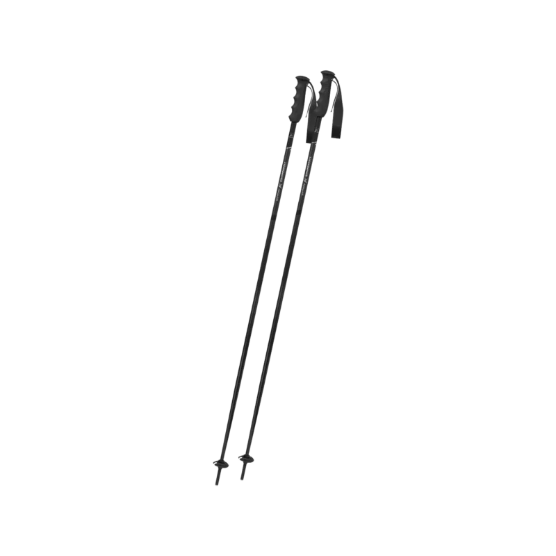 Victory Ti Skistock