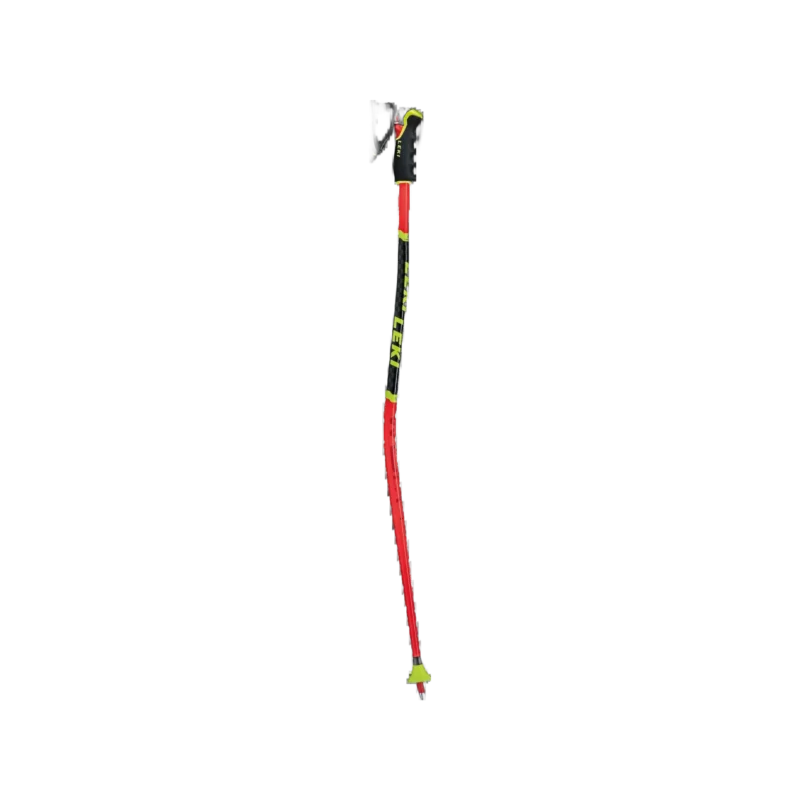 WCR Lite GS 3D Stock