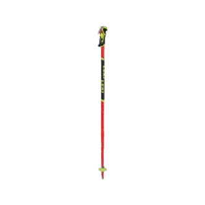 WCR Lite SL 3D Skistock