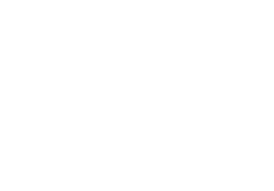 Logo Brunni
