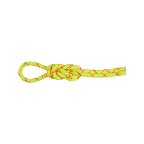 9.5 Alpine Core Protect Dy Rope 60m