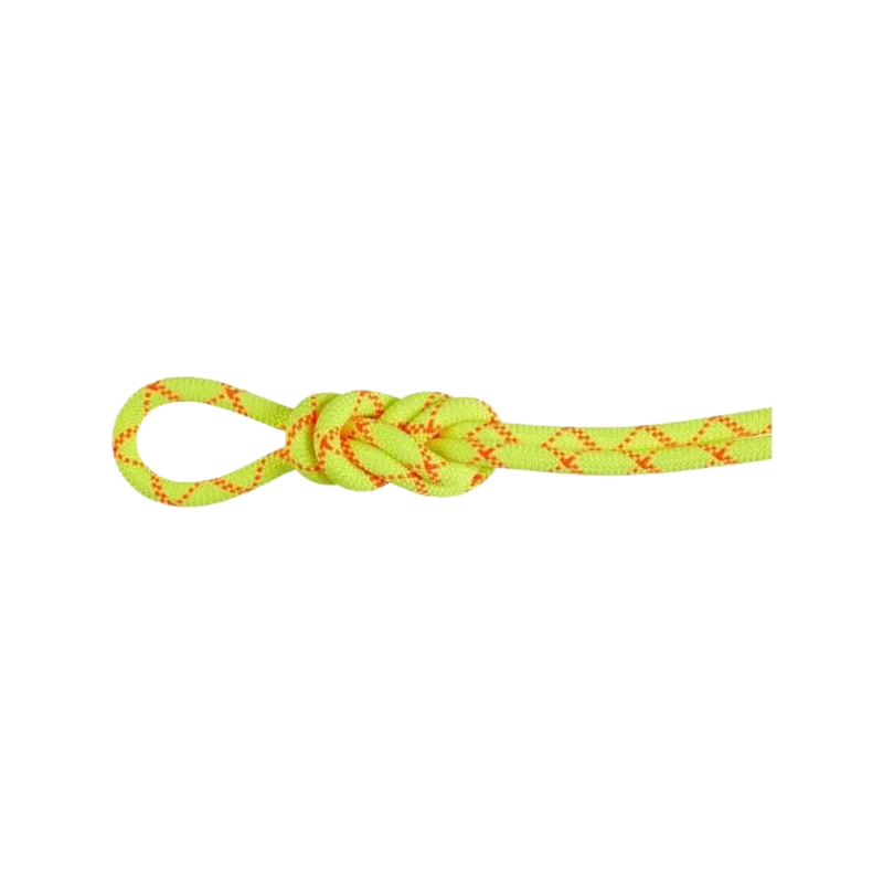 9.5 Alpine Core Protect Dy Rope 60m
