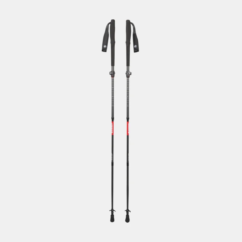 Aenergy Ultra Carbon Poles
