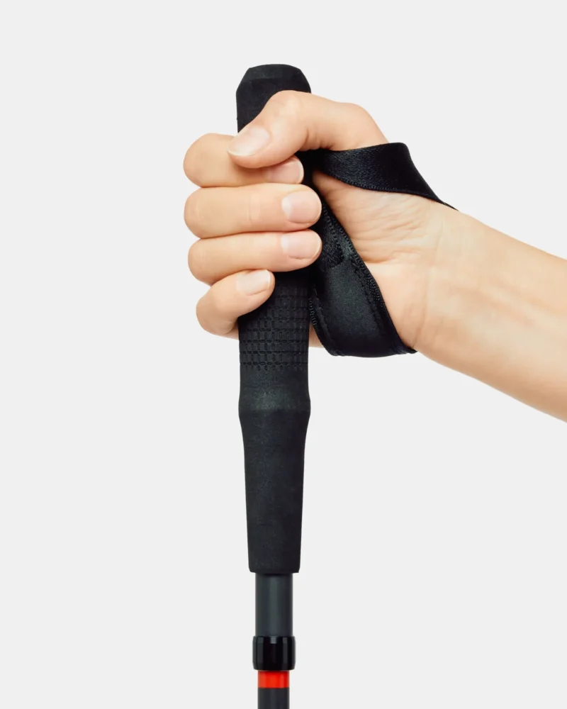Aenergy Ultra Carbon Poles