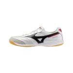 MORELIA SALA PRO IN Futsal