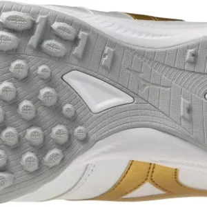 MORELIA SALA PRO TF Futsal