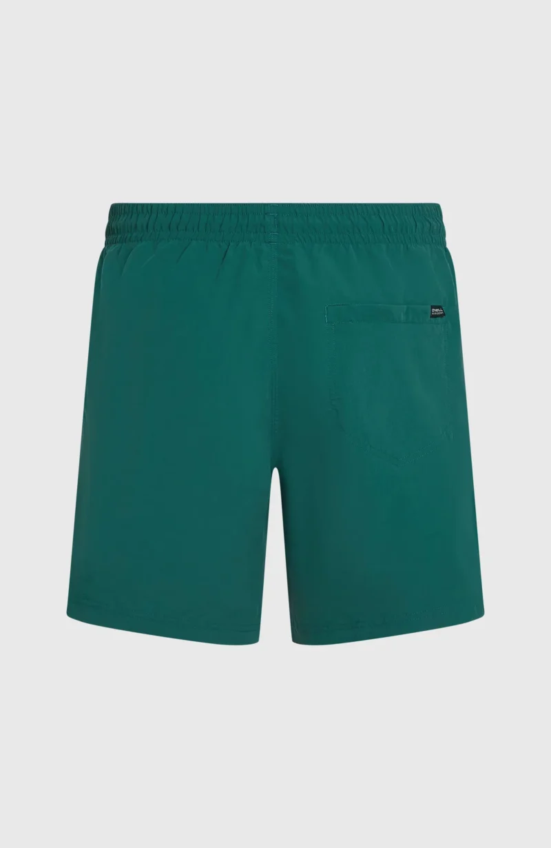 O'NEILL VERT 16'' SWIMSHORTS