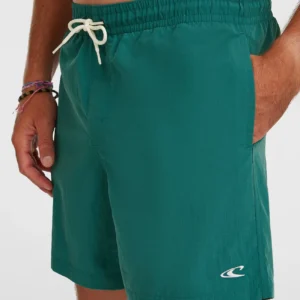 O'NEILL VERT 16'' SWIMSHORTS