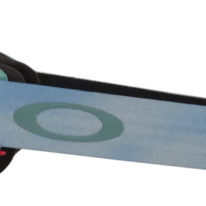 Flow Scape M Skibrille