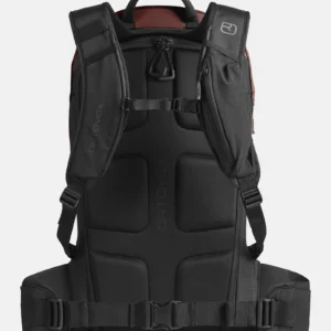 Ortovox free rider 20 s freeride rucksack chestnut 2