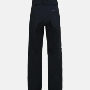 Alpine Gore-Tex 3L Pant Men