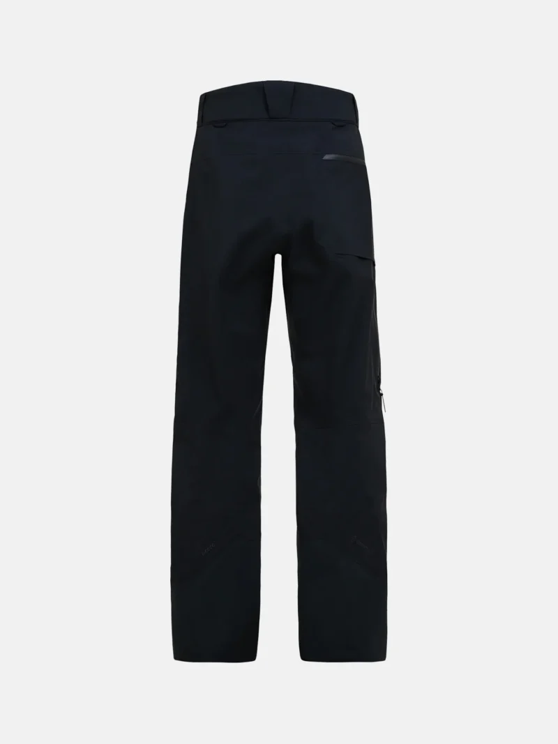 Alpine Gore-Tex 3L Pant Men