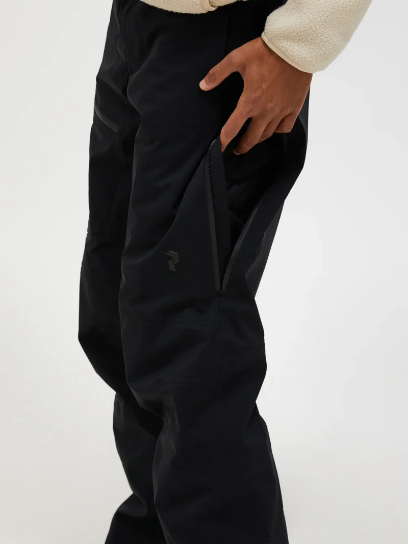 Alpine Gore-Tex 3L Pant Men